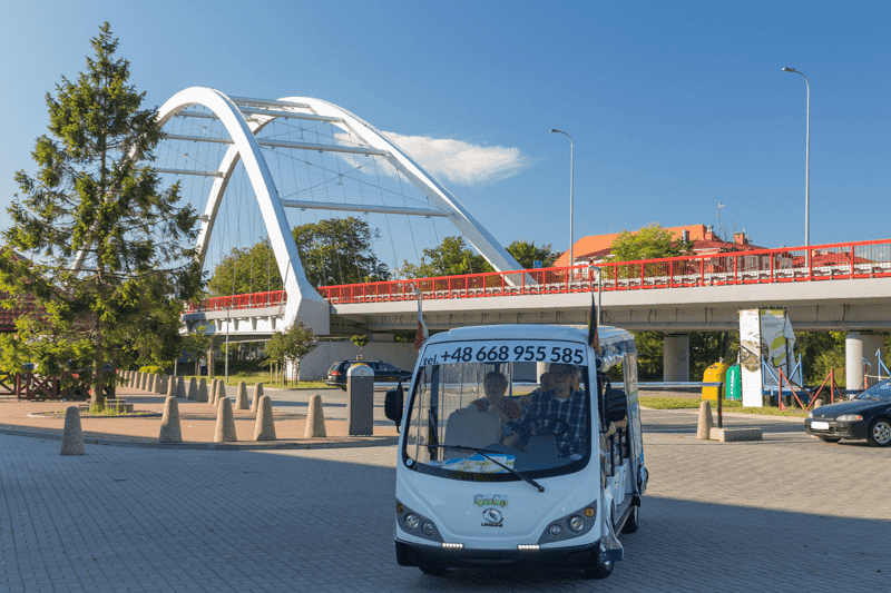 Ecocar image 16